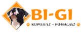 BI-GI
