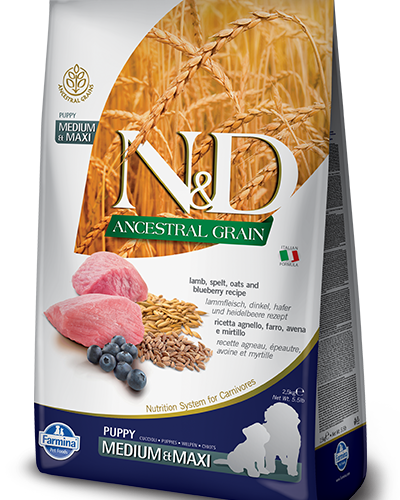 Farmina N&D Ancestral Grain Canine Puppy Medium&Maxi Lamb&Blueberry 12kg