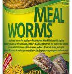 Tropical Meal Worms 100ml