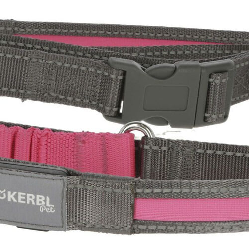 KERBL Smycz Podświetlana Light & Reflex Do Biegania Różowa 250cm