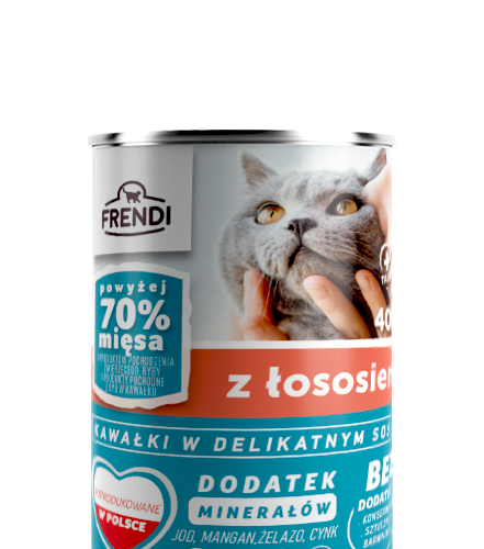 Frendi Kawałki W Delikatnym Sosie Z Łososiem 400g