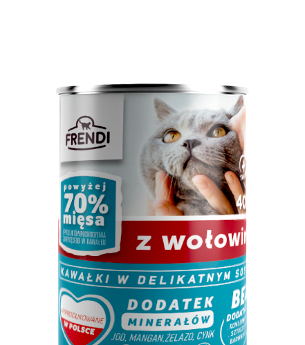 Frendi Kawałki W Delikatnym Sosie Z Wołowiną 400g