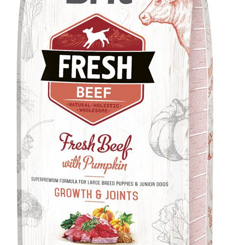 Brit Fresh Beef & Pumpkin Puppy Large Growth & Joints 12kg