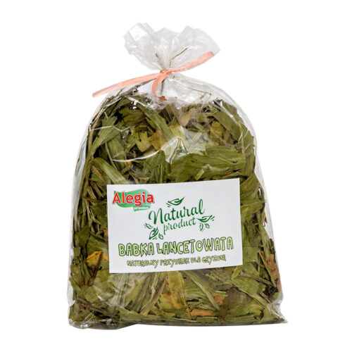 ALEGIA Babka Lancetowata 300g