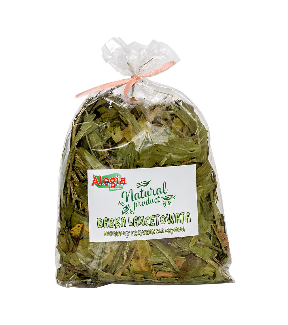 ALEGIA Babka Lancetowata 300g