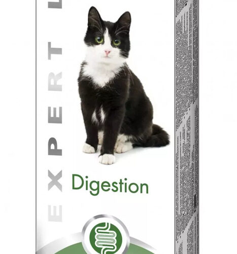 GIMBORN Gim Cat Pasta ExpertLine INTESTINAL 50g