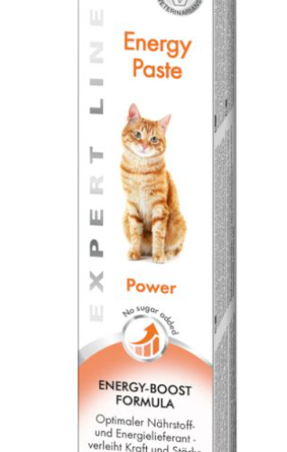 Gimcat Energy Pasta Dla Kota 50g